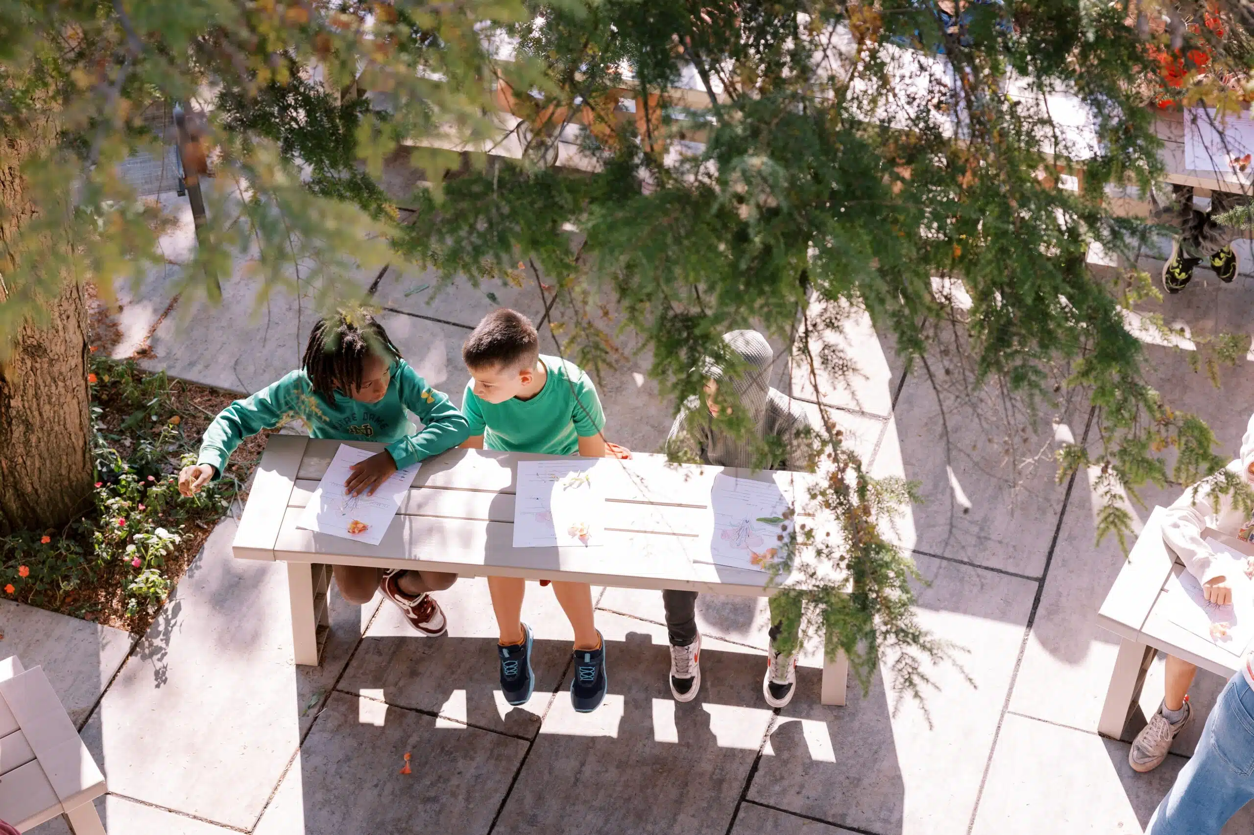 butterfly garden-10 butterfly garden-10