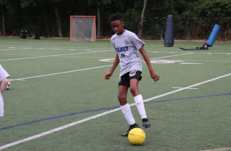 53055380951_b69b8b2ab9_o (1)