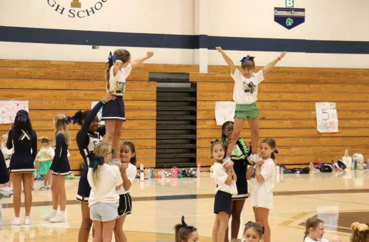 53055564094_f690a2bb27_o (6)