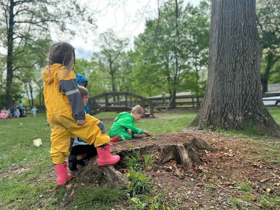 A Children’s Habitat Montessori