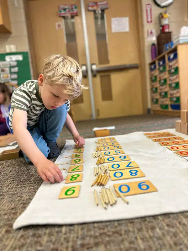 A Children’s Habitat Montessori
