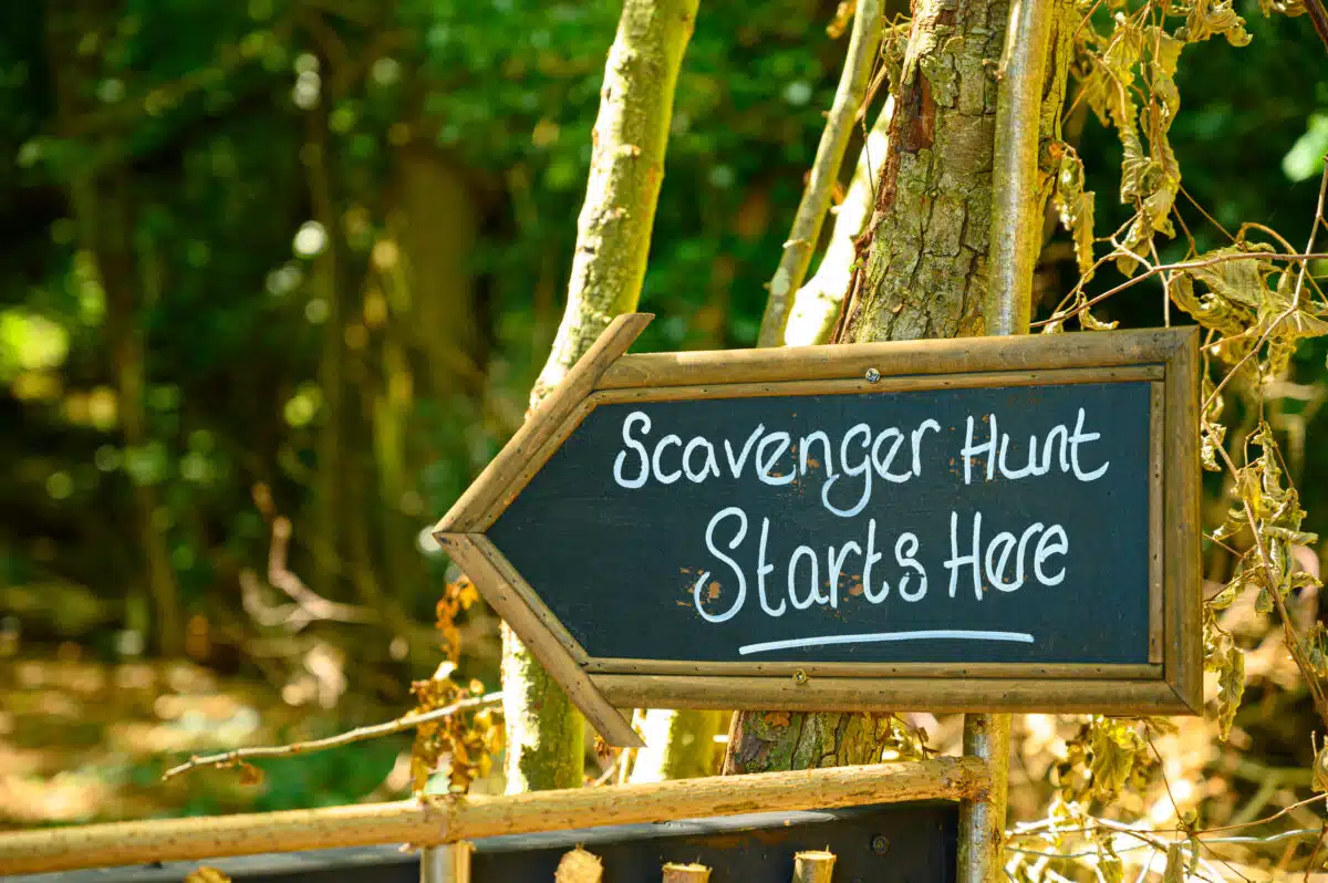 Outdoor Escape Room: The Enchanted Forest