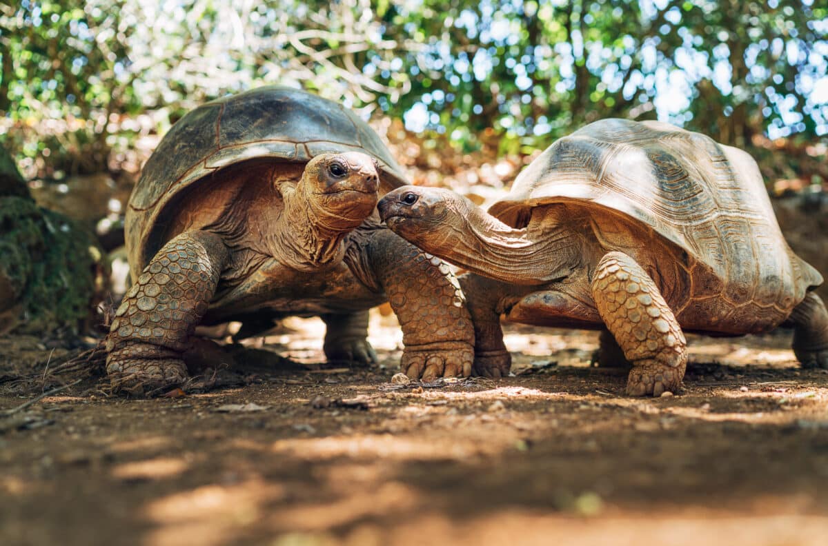 Wild World of Nature at Washington Township Parks