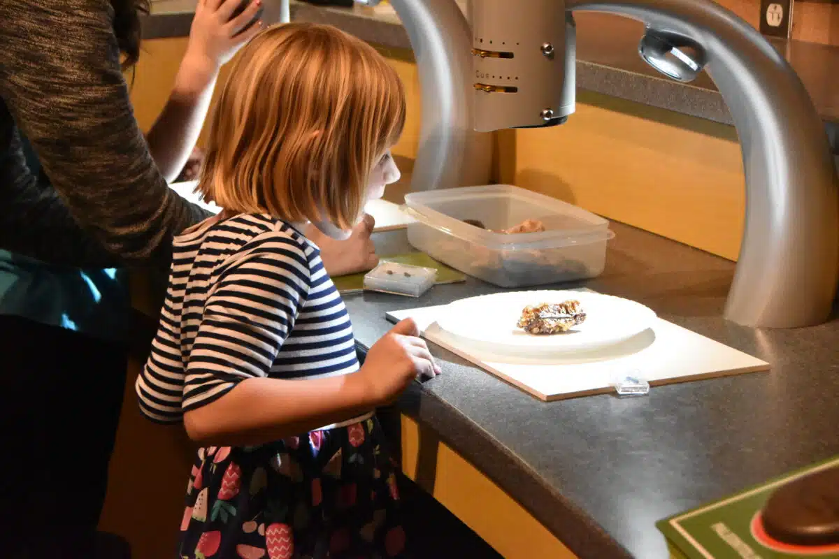 Young Explorers: Crash, Bang, Boom Experiments in Motion