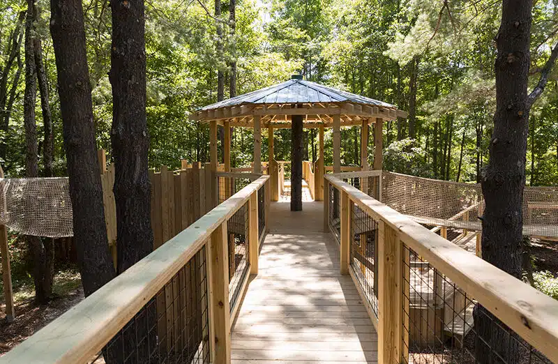 1-2024_06_24_treehouse_aprks001 1-2024_06_24_treehouse_aprks001