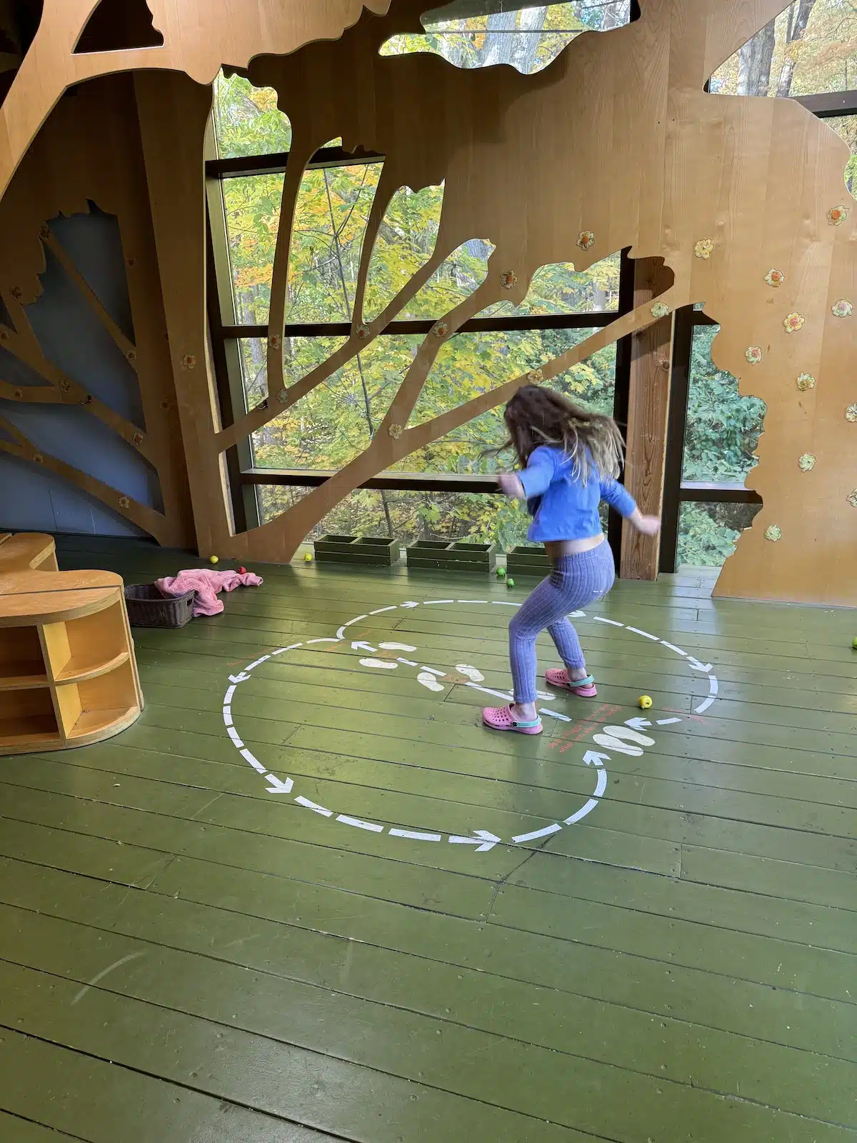 The Holliday Park Nature Center