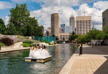 Swan Pedal Boats at Indy’s Downtown Canal Walk swan boats indianapolis