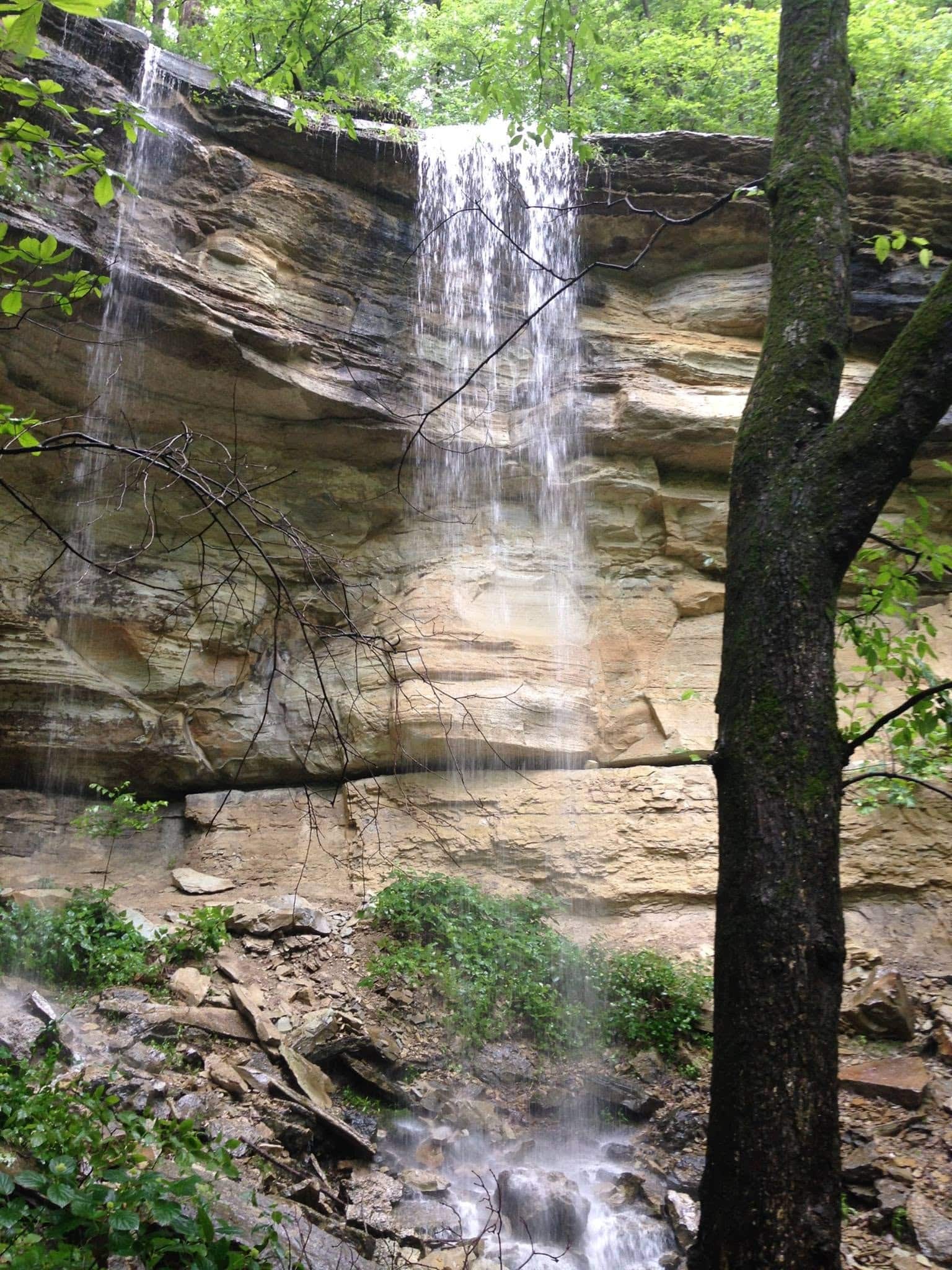Clifty Falls waterfall flowing through a forest canyon at Clifty Falls State Park in Madison, Indiana