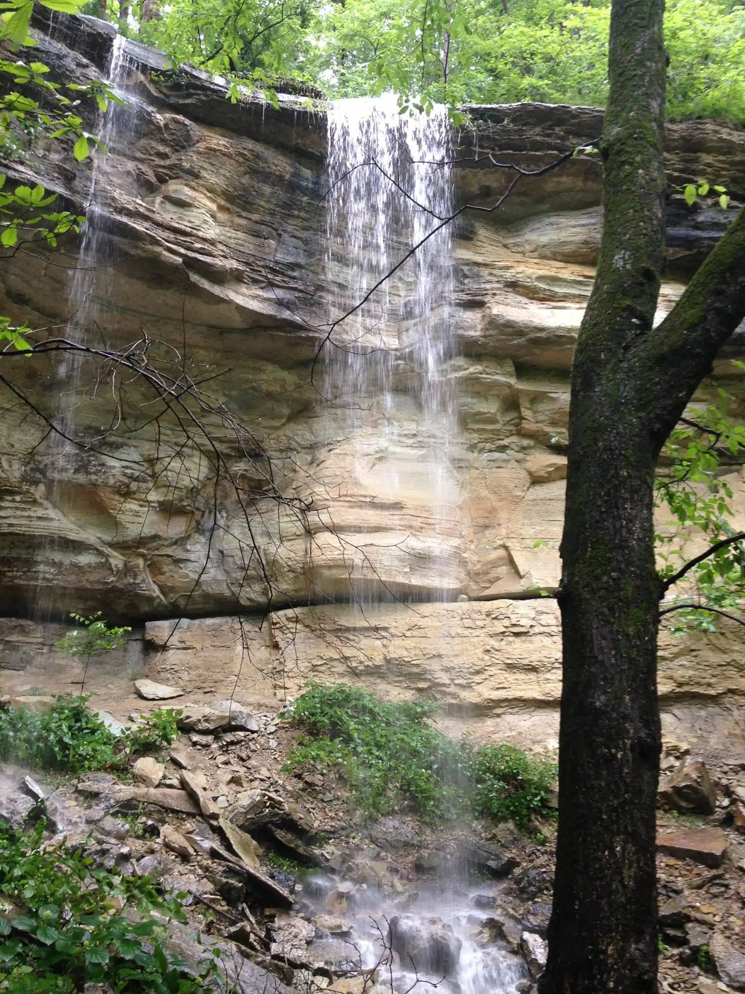 5 Best Waterfalls in Indiana to Visit with Kids 7 Clifty Falls waterfall flowing through a forest canyon at Clifty Falls State Park in Madison, Indiana