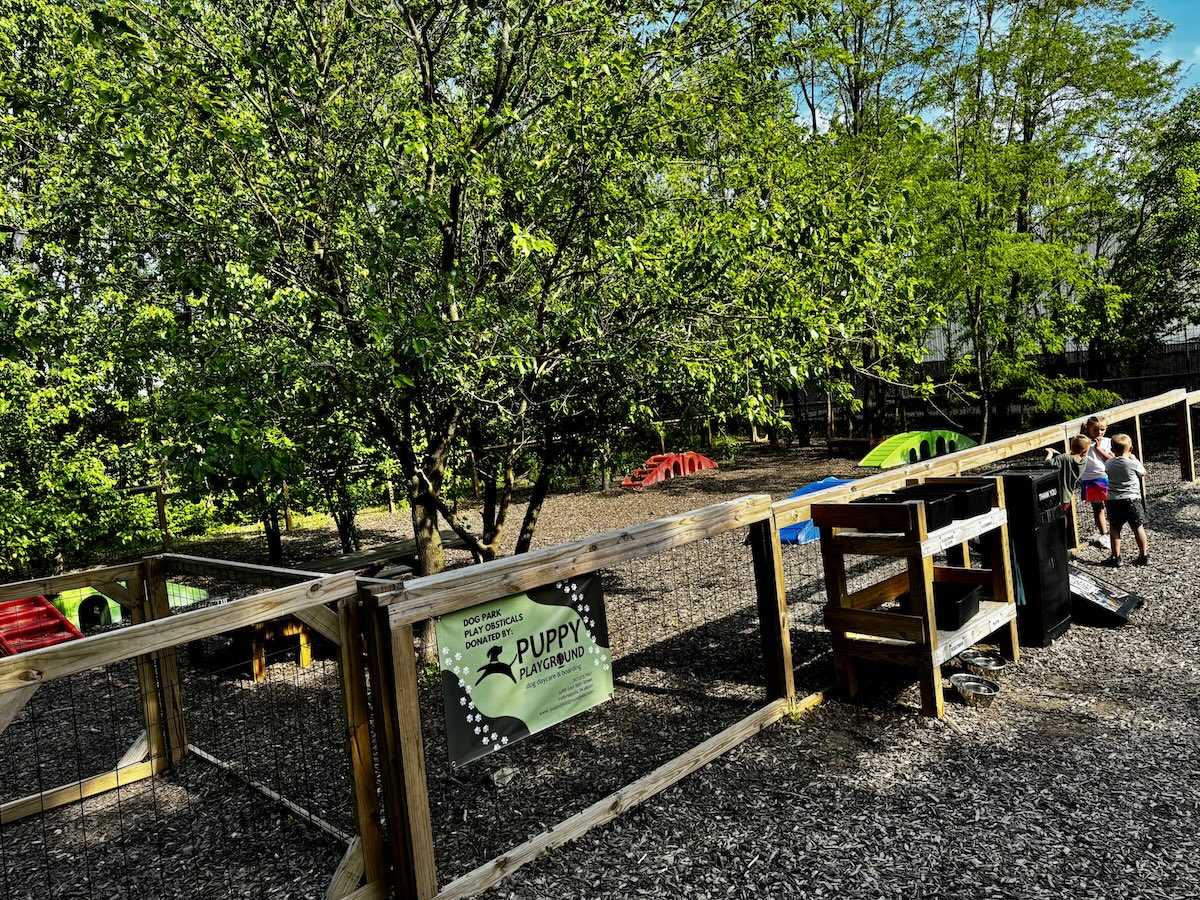 Bier Brewery dog park