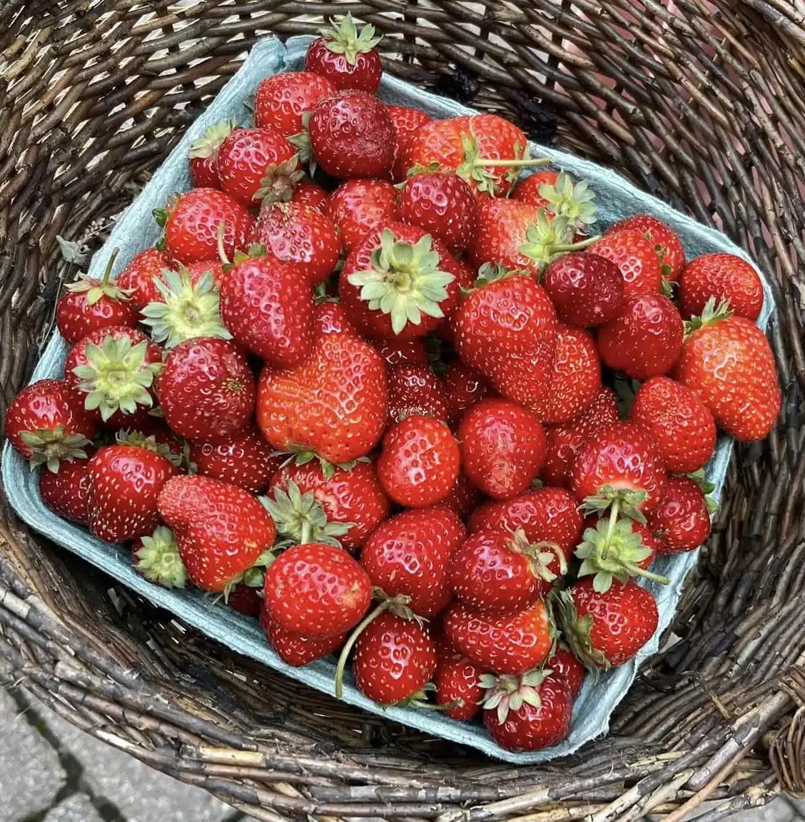 Strawberries from Driving Wind Farm & Cafe in Indianapolis