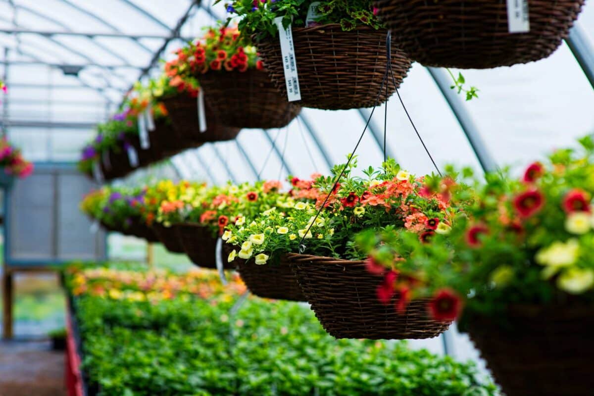 wassonnursery