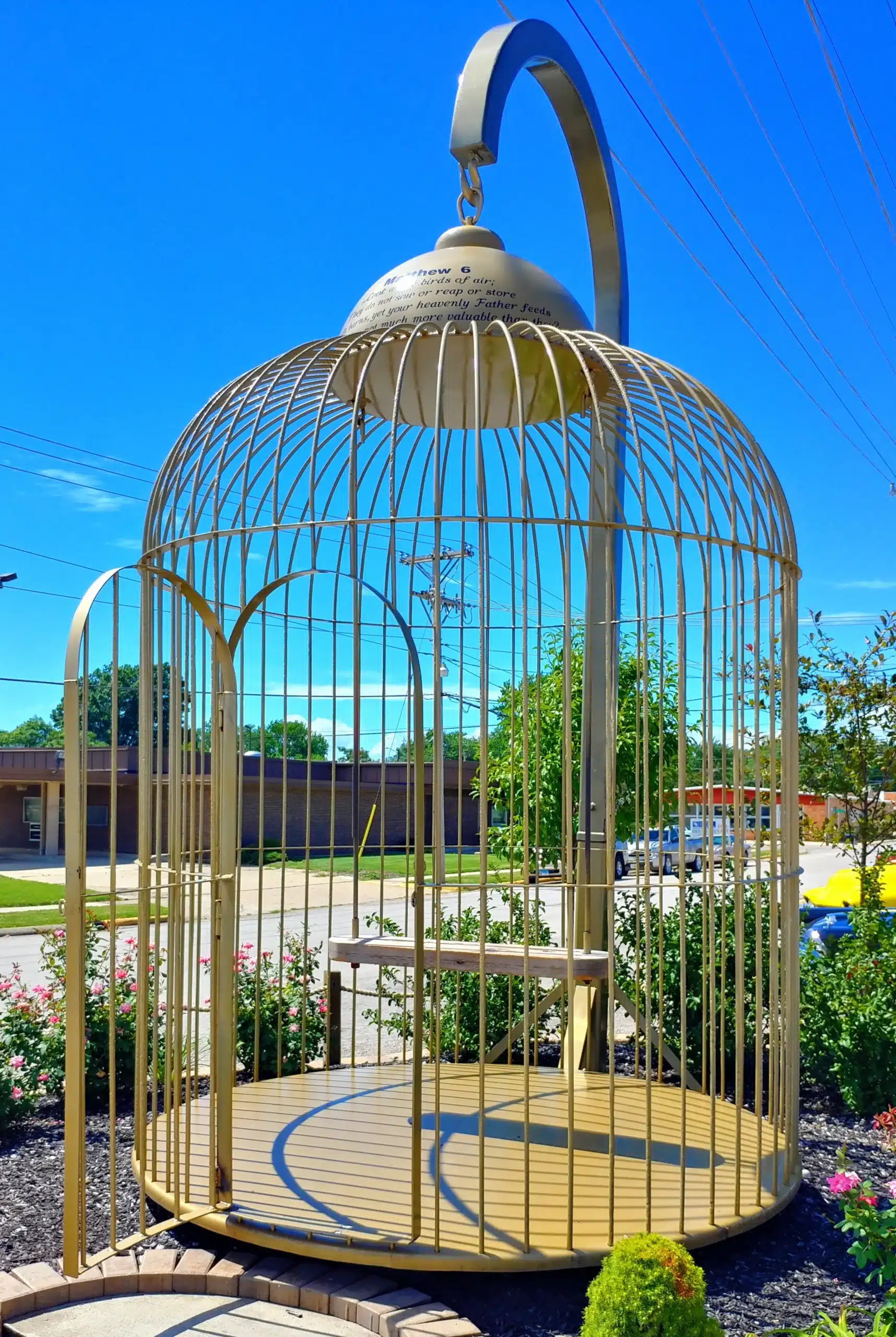 Big bird cage in casey, il