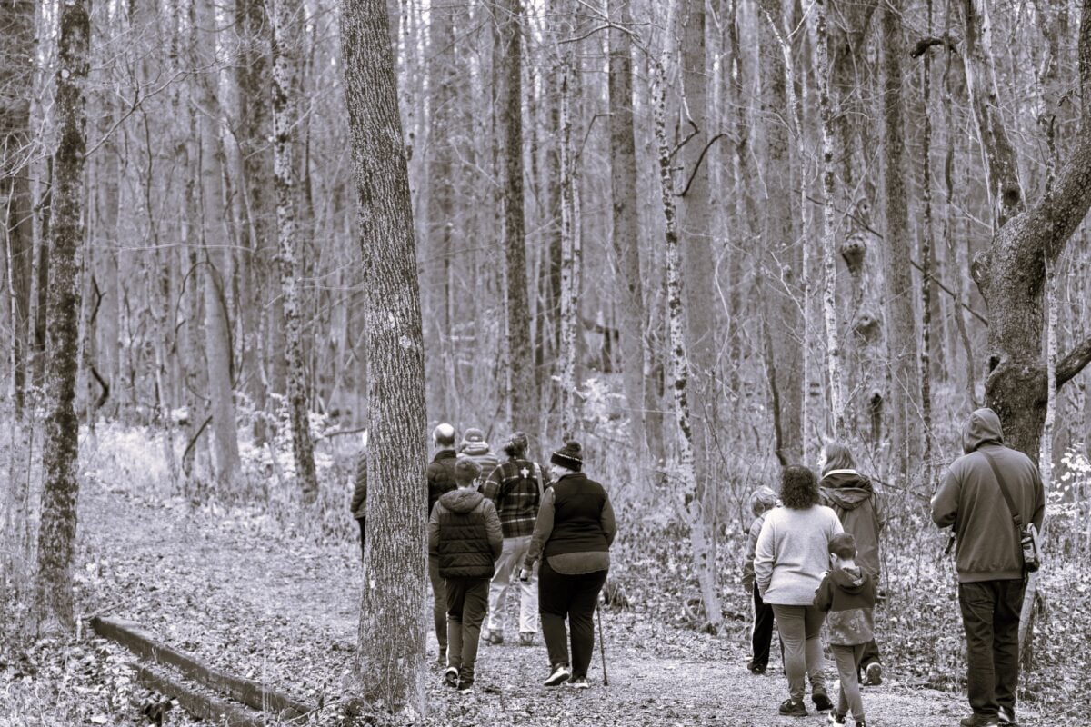 Sounds of the Night Hike at Williams Park