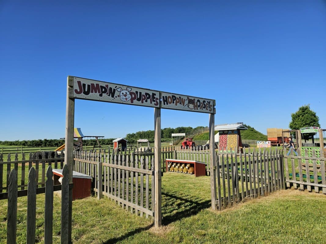 barn games at Tuttles Orchard