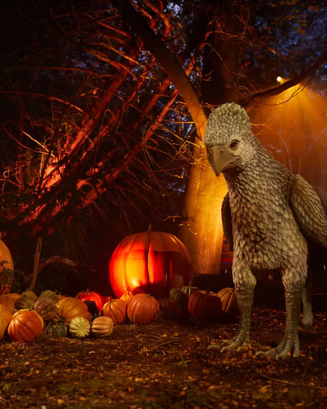 A Magical Road Trip: Harry Potter’s Forbidden Forest Lights Comes to Cincinnati