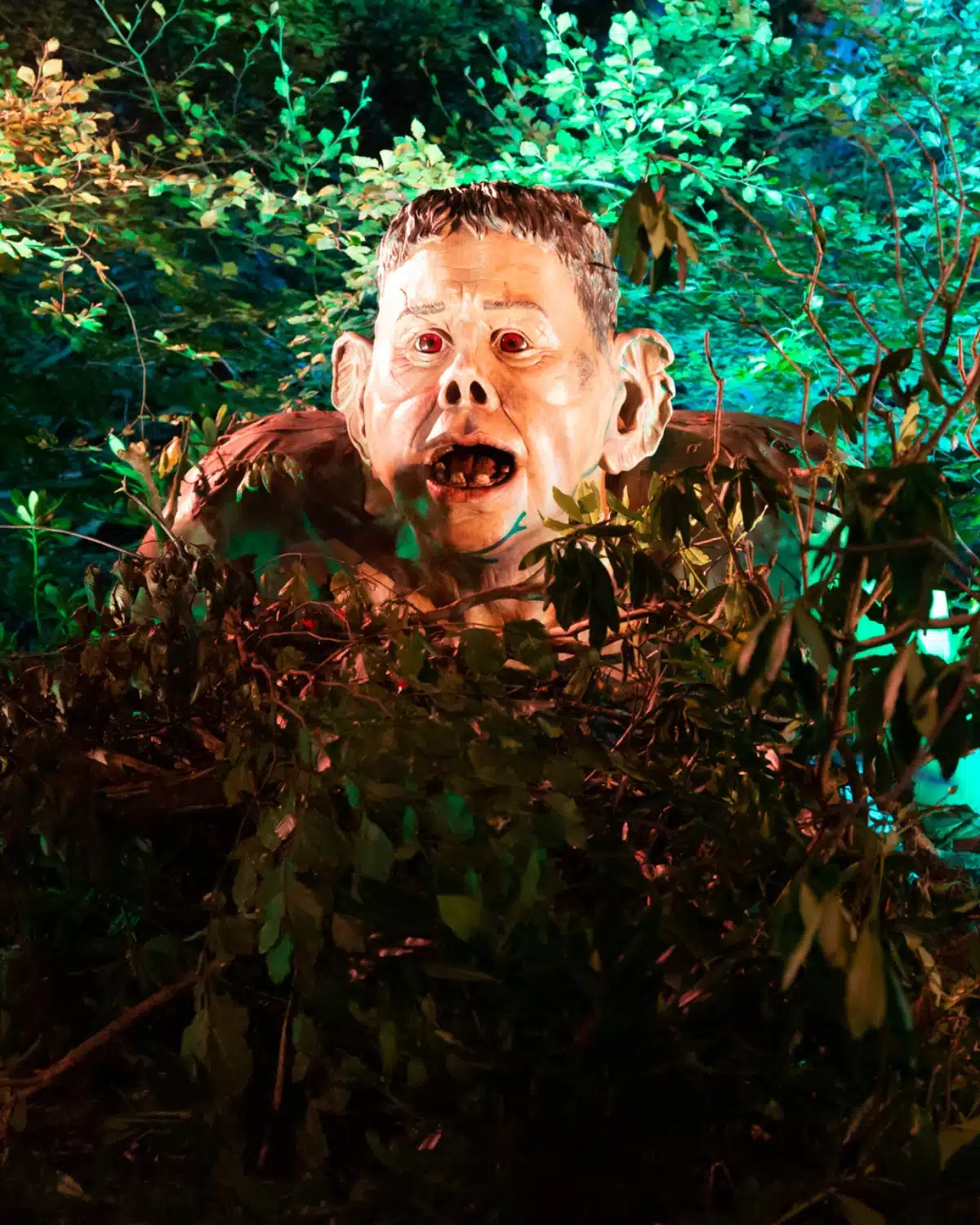 A Magical Road Trip: Harry Potter’s Forbidden Forest Lights Comes to Cincinnati