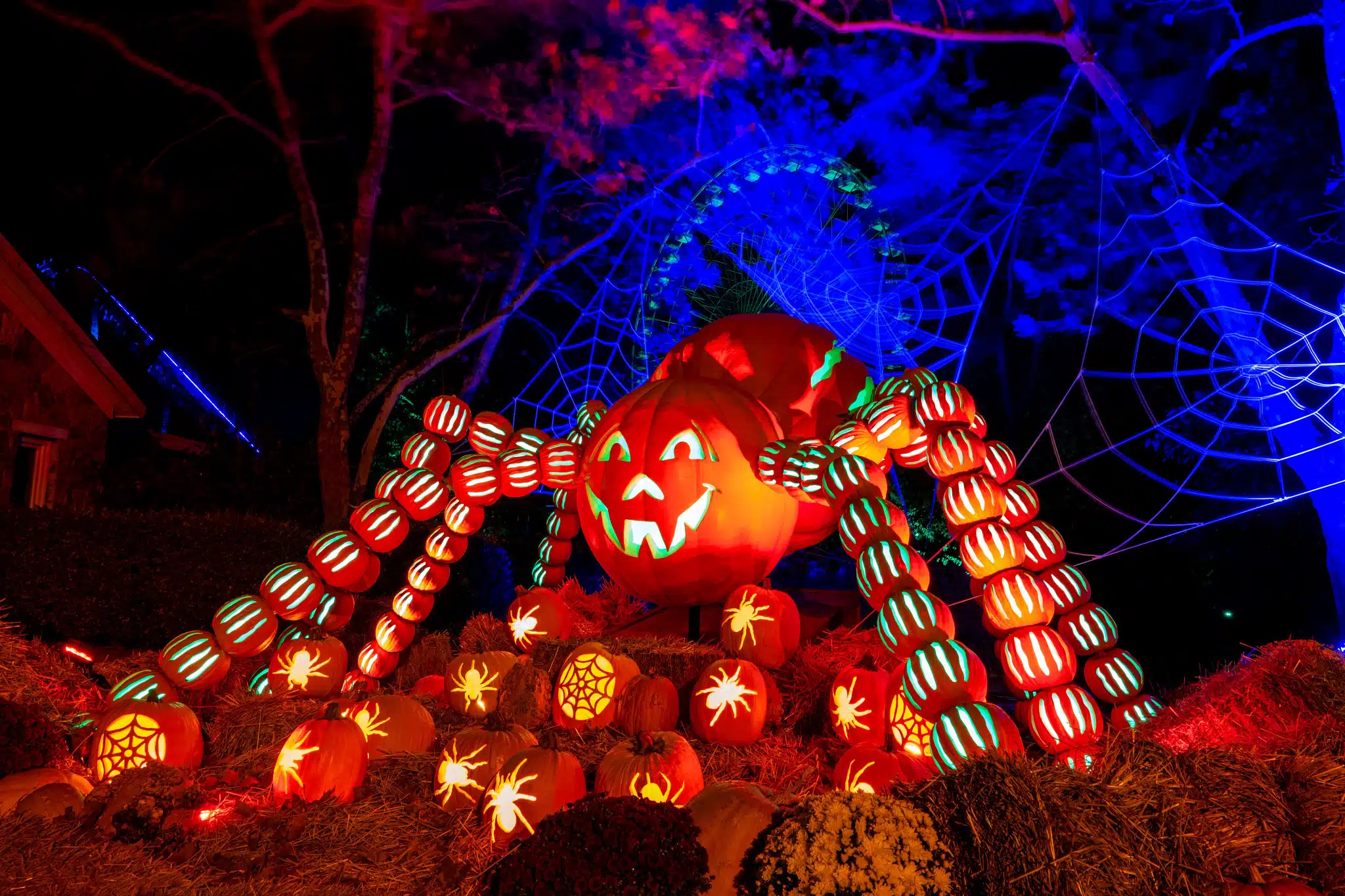 Giant illuminated pumpkin spider display at Pumpkins at Kentucky Kingdom in Louisville