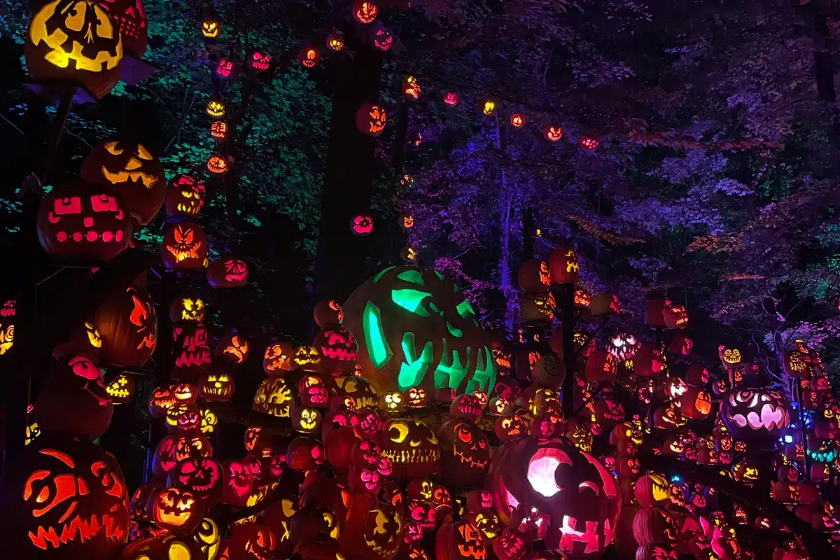 Glowing carved pumpkins displayed at Jack O'Lantern Spectacular in Louisville