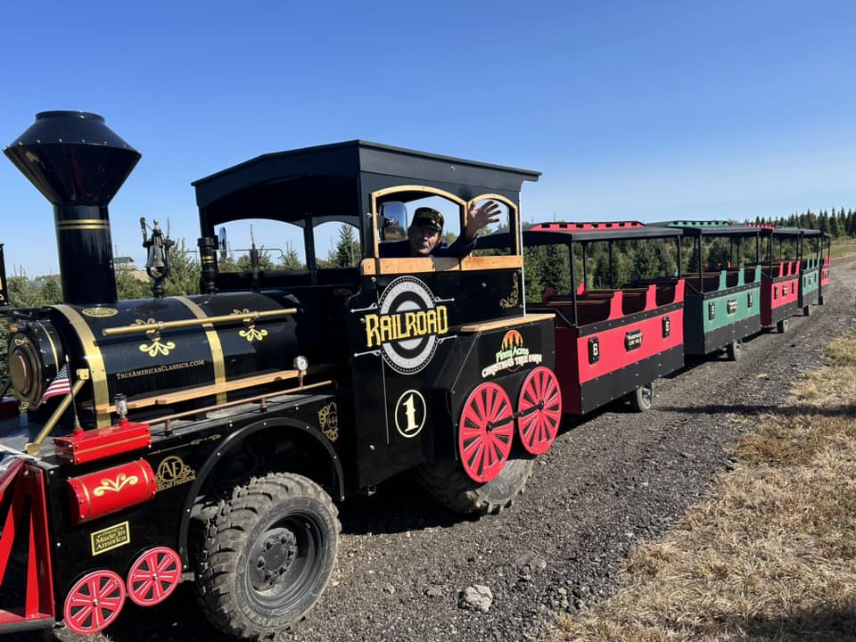 10 Best Holiday Train Rides in Indiana (2025) 4 Shimmer Lights at Piney Acre Farms, the christmas train pulling passengages