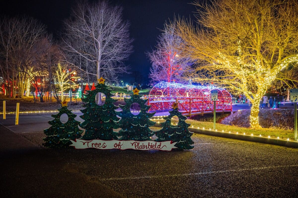 Trees of Plainfield holiday lights in Plainfield, IN—photo-op evergreen cutouts in front, tunnel of lights and wrapped trees glowing at night.