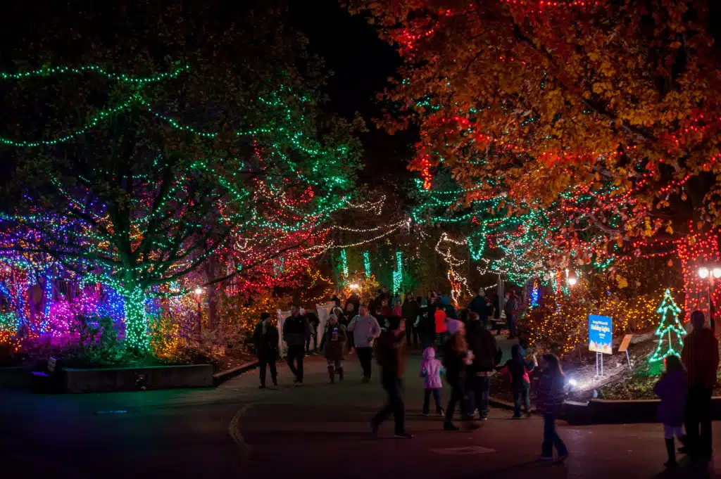 Best Christmas Lights in Indianapolis 2026 4 Christmas at the Zoo in Indianapolis with glowing light-lined pathways after dark