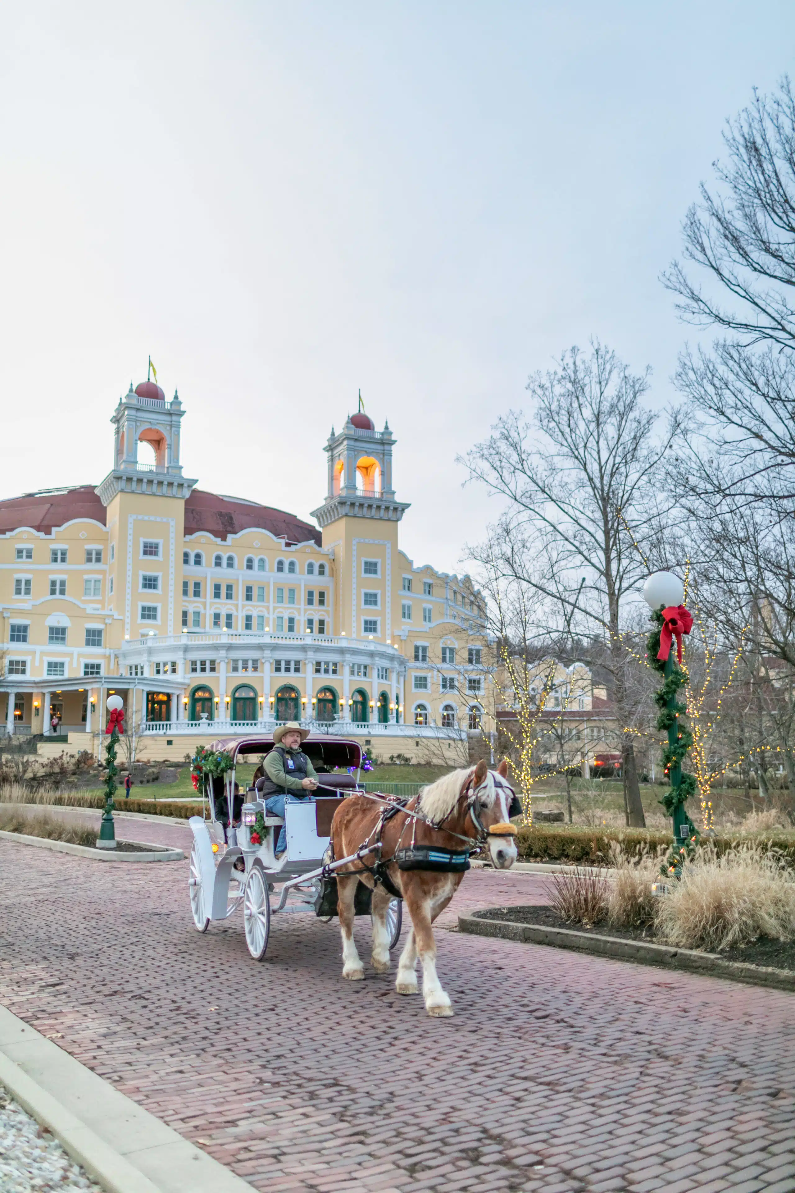 20231221_FLR_Springers-10 20231221_FLR_Springers-10