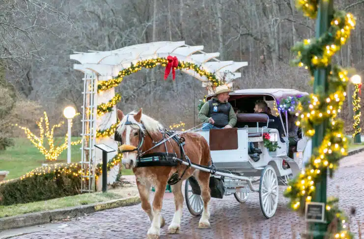 20231221_FLR_Springers-15 20231221_FLR_Springers-15