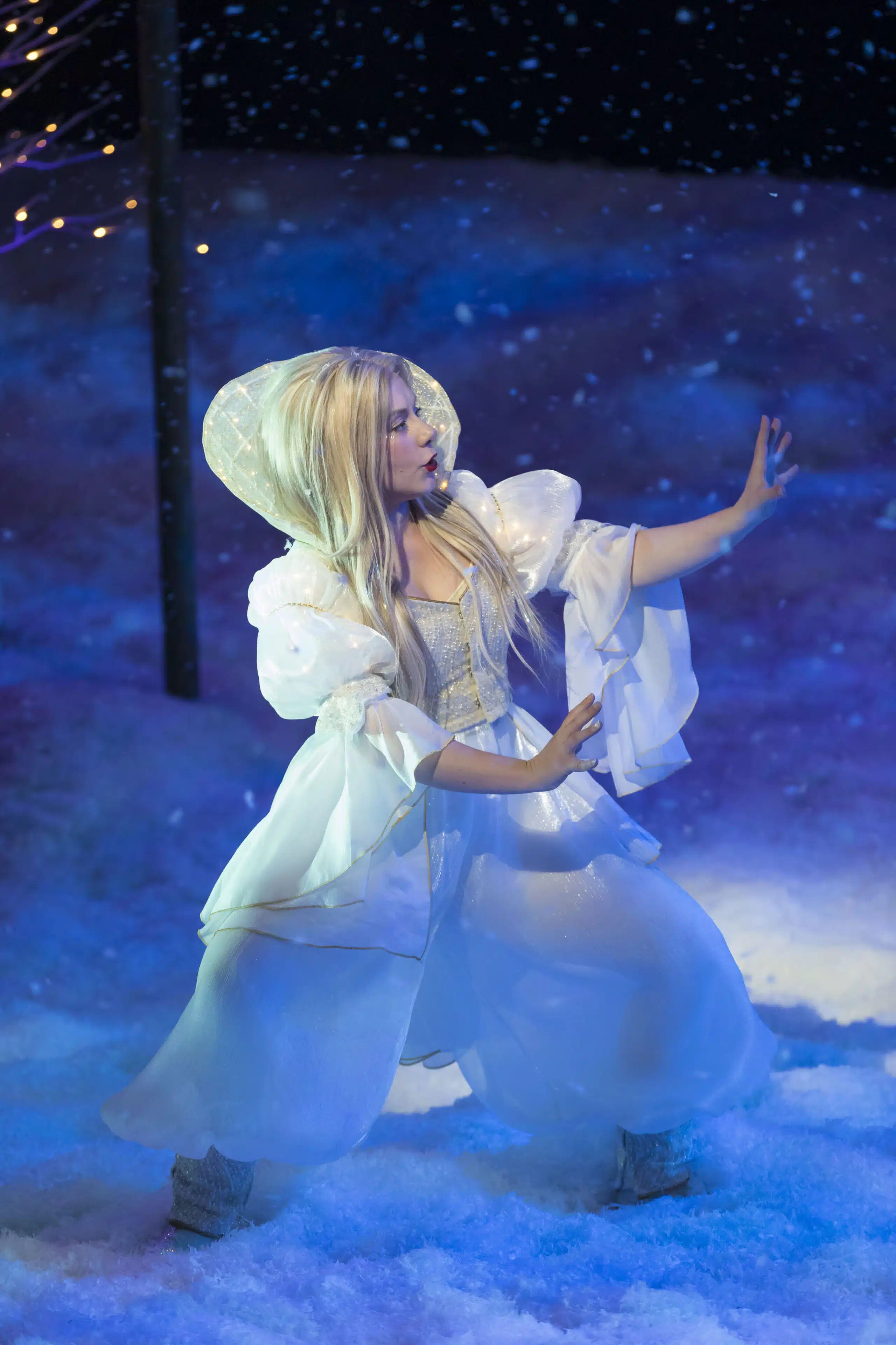 241112_192739_ZR7_0755