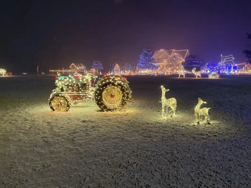 A lighted tractor and reindeer in the snow at Christmas Acres