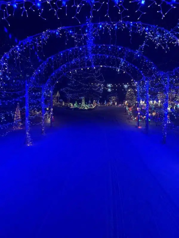 A tunnel of blue holiday lights at Christmas Acres