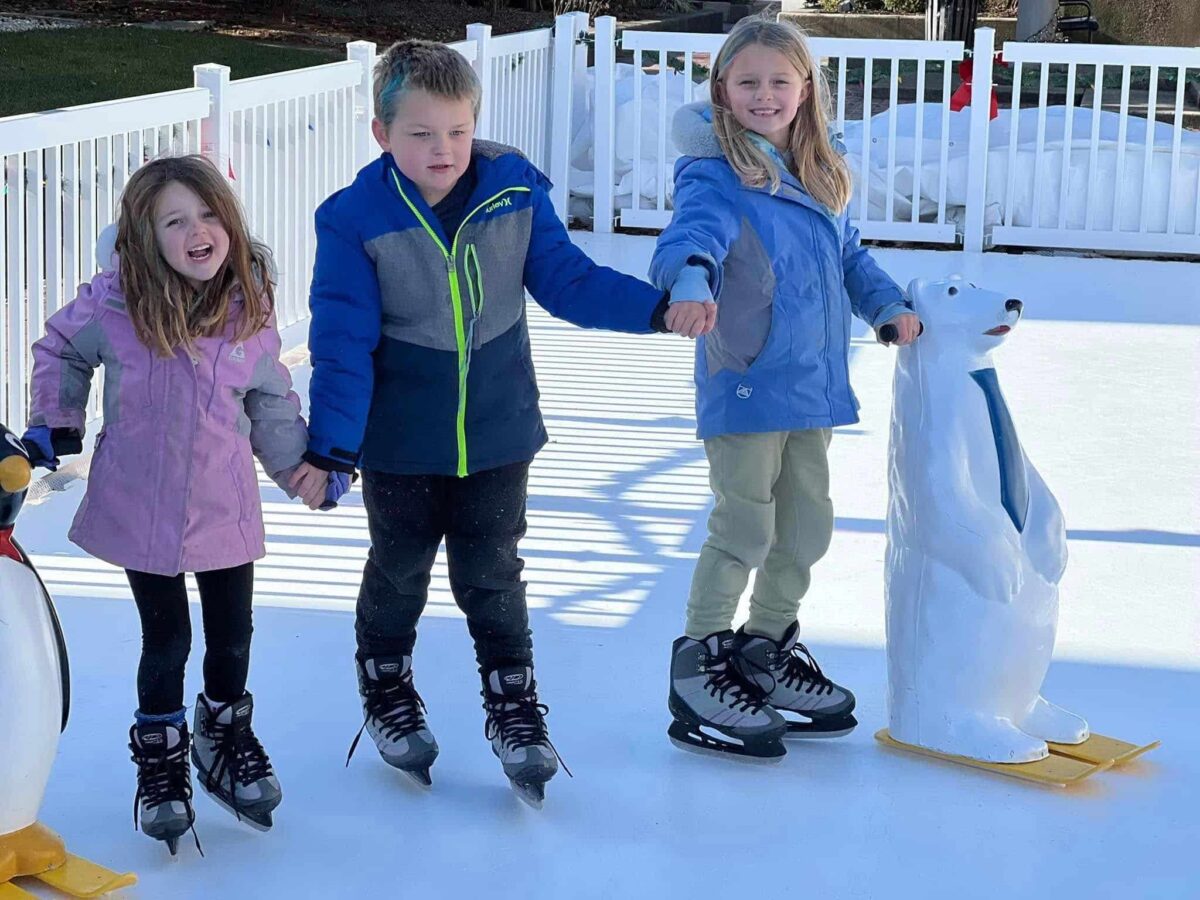 594596204 1731765214699751 5793234414482007841 n e1764861123291