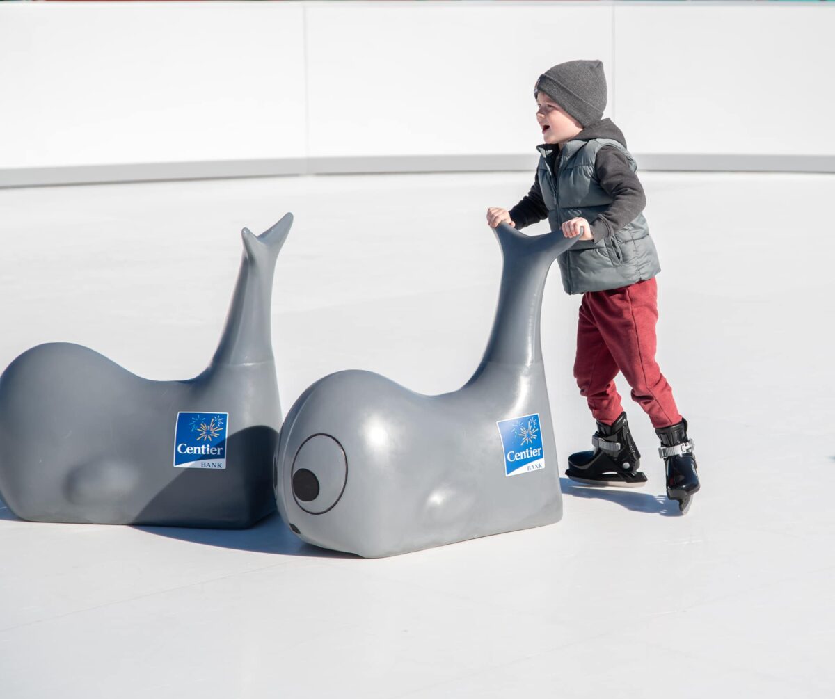 GJ 44 e1764720909880