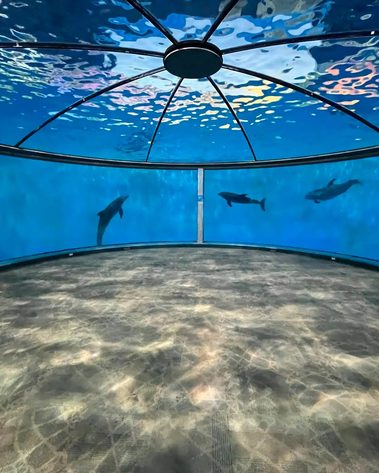 510969855 1131790315646134 6994693823931695208 n