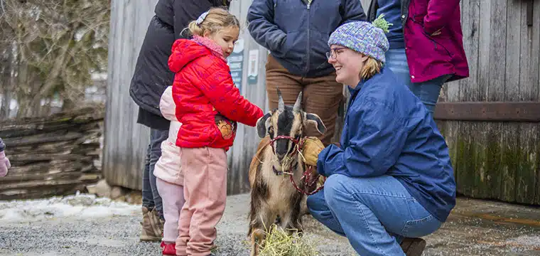 winter on the prairie
