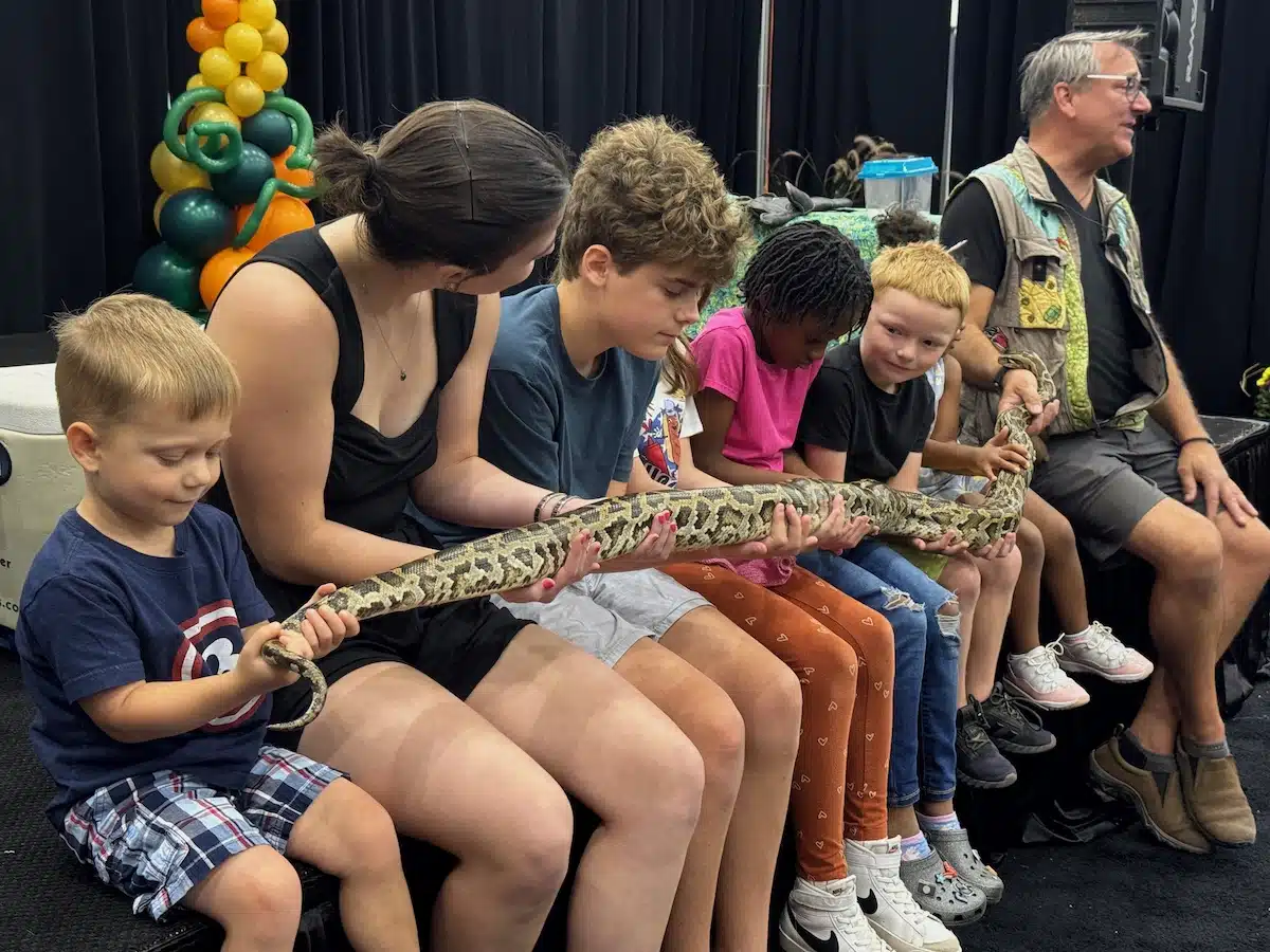 SIS Fall 24 Silly Safaris 32