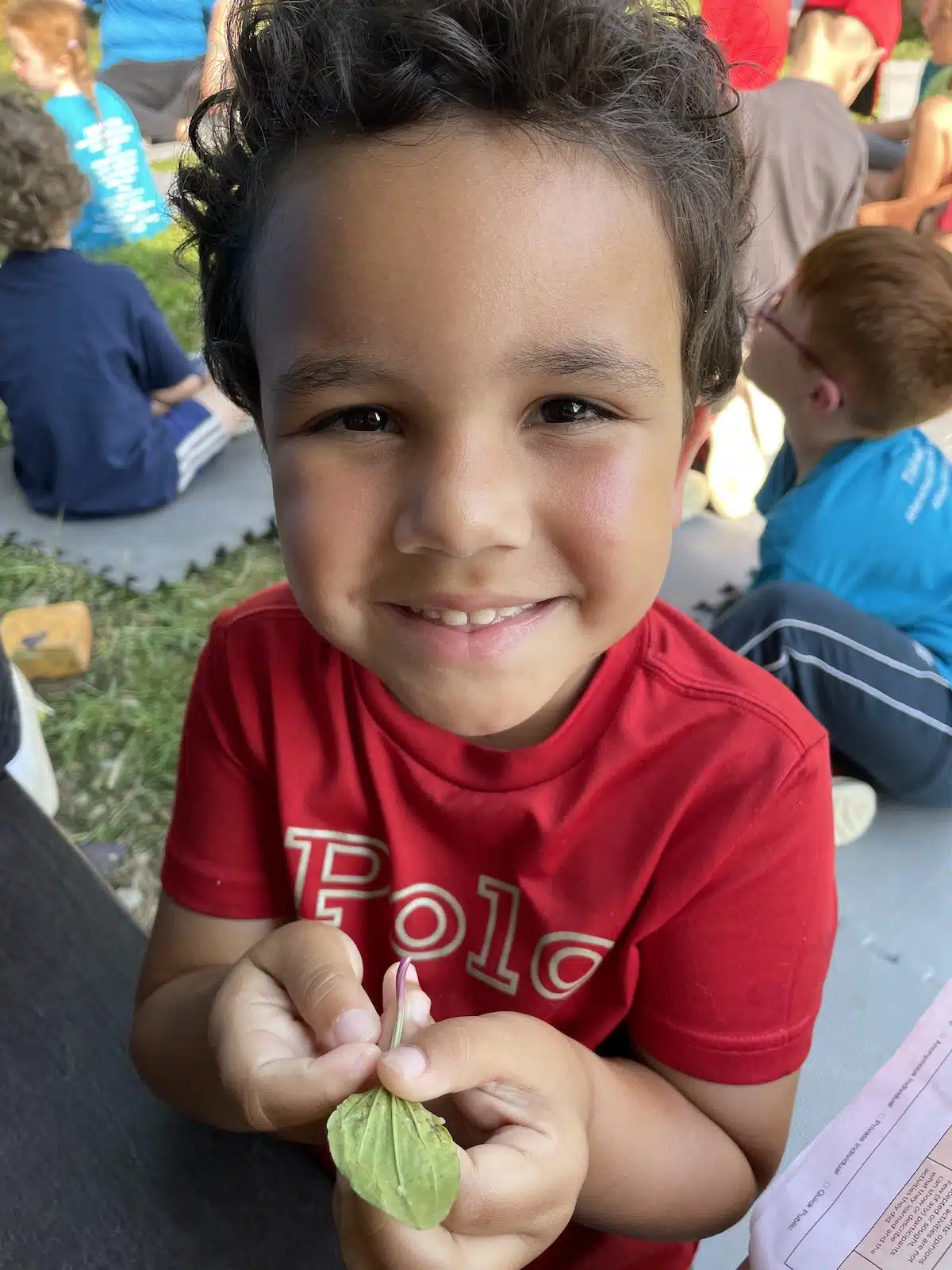 The STEM Connection