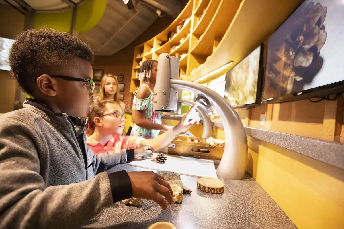 Kids exploring hands-on science activities in a naturalist lab at the Indiana State Museum
