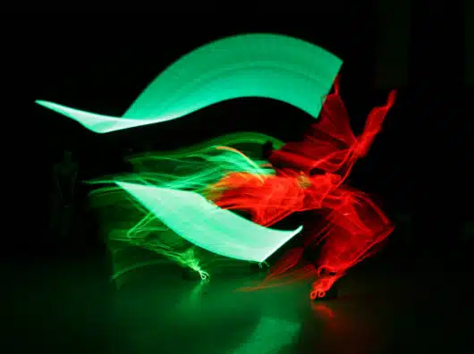 darwing fight photos 492 (2018_04_05 02_10_51 UTC)