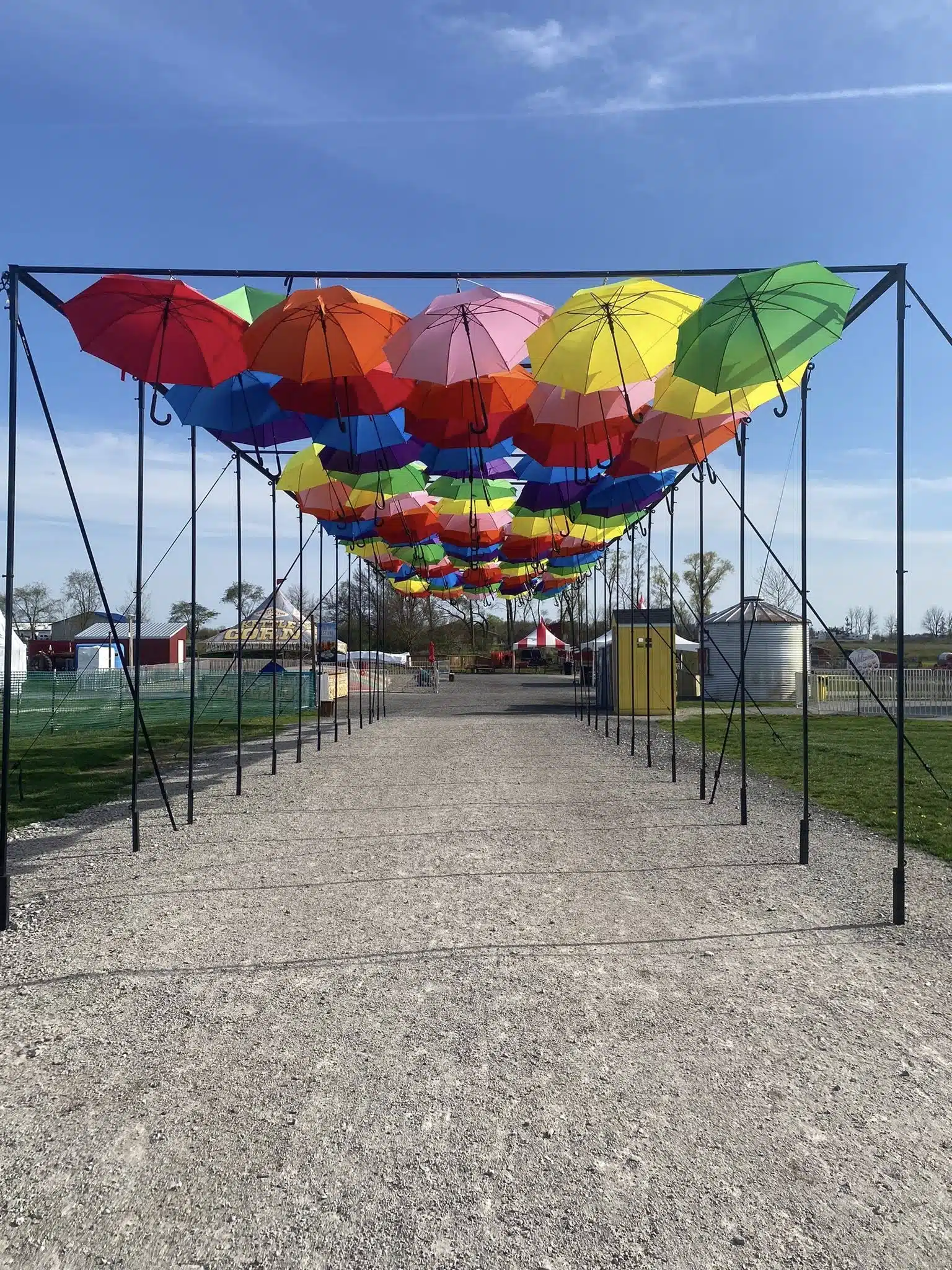 Colorful umbrella walkway at Tulip Tyme at Harvest Tyme Family Farm spring festival in Indiana