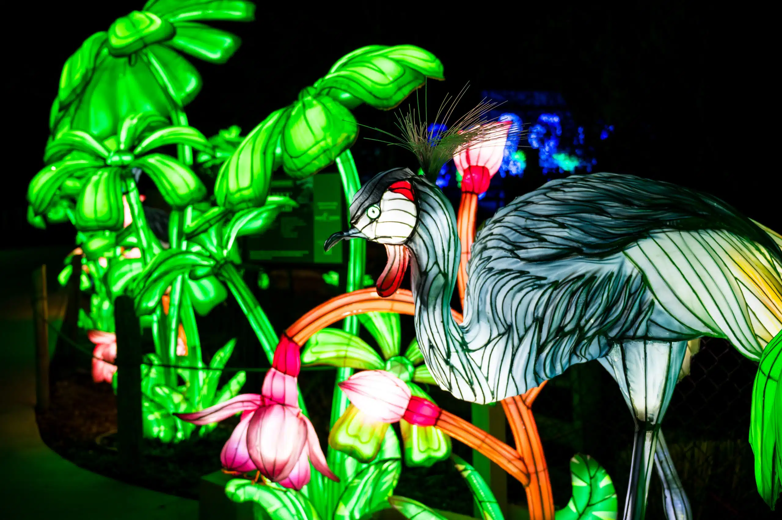 Large illuminated crane lantern sculpture glowing at Glo Wild at the Fort Wayne Zoo lantern festival