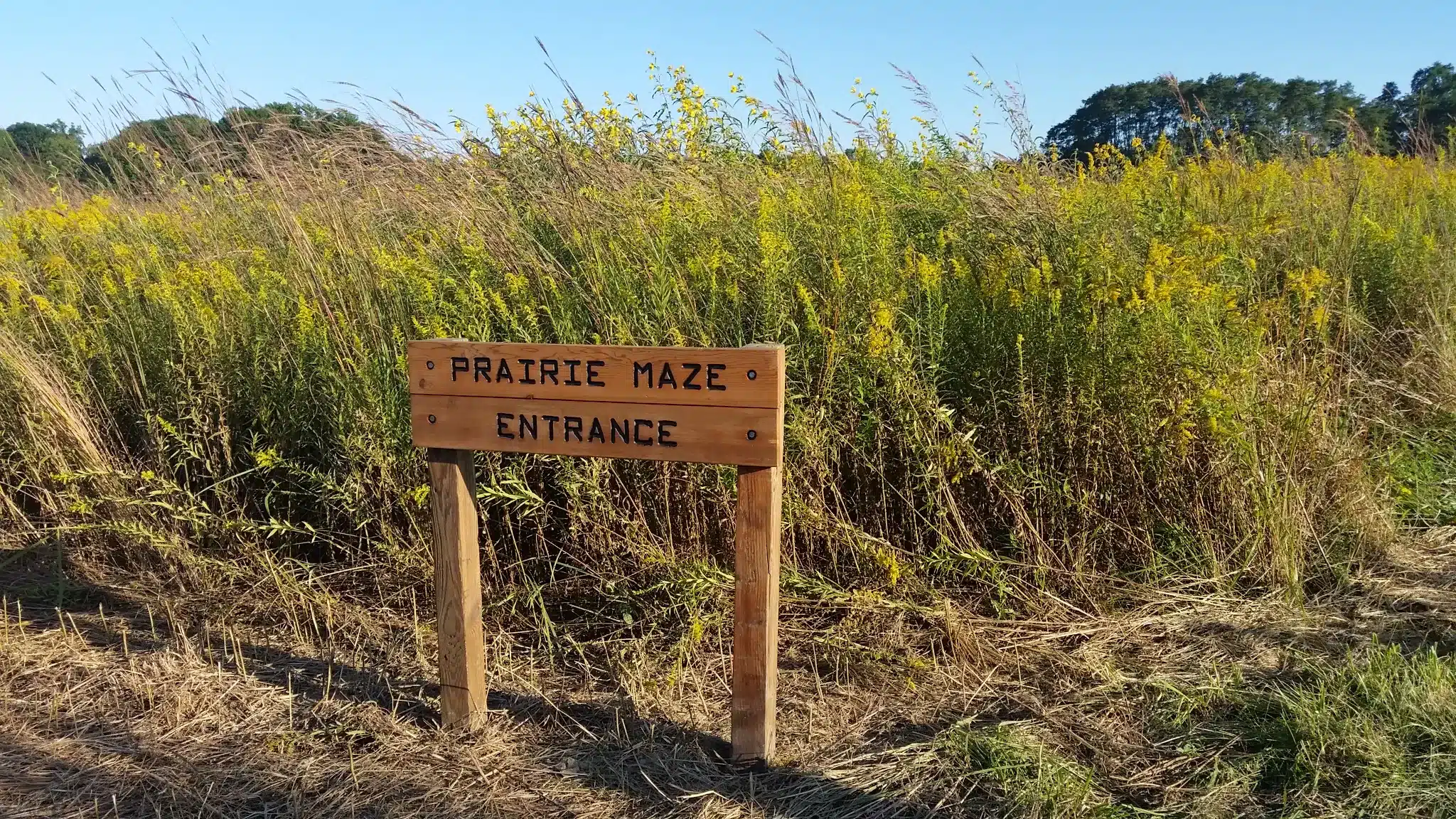 McCloud Prairie Maze