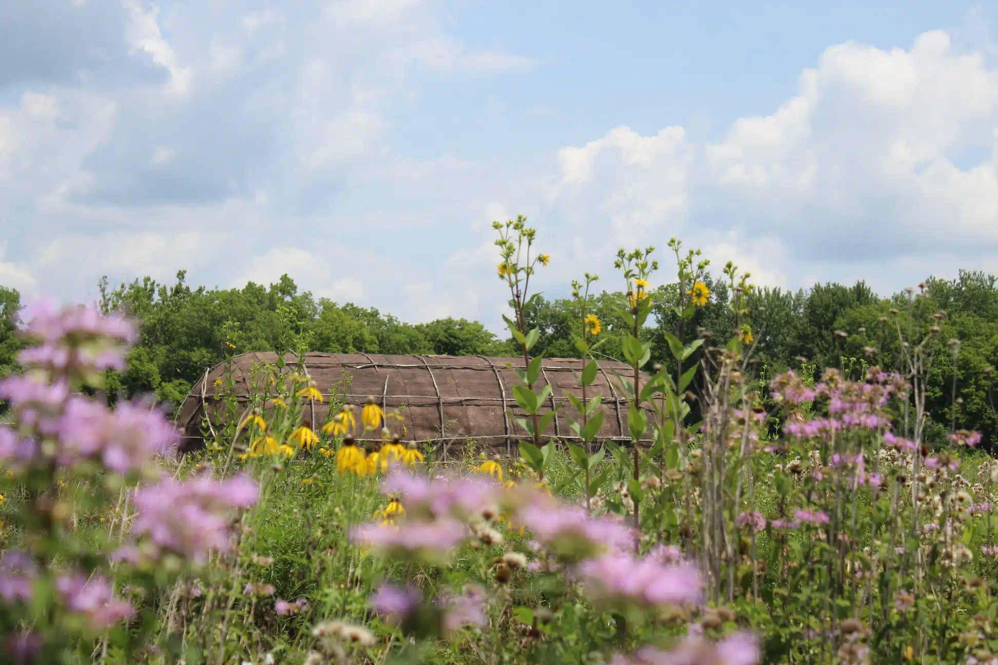 Things to Do This Weekend in Indianapolis with Kids | April 10-12, 2026 4 Prairie Fairy Magic