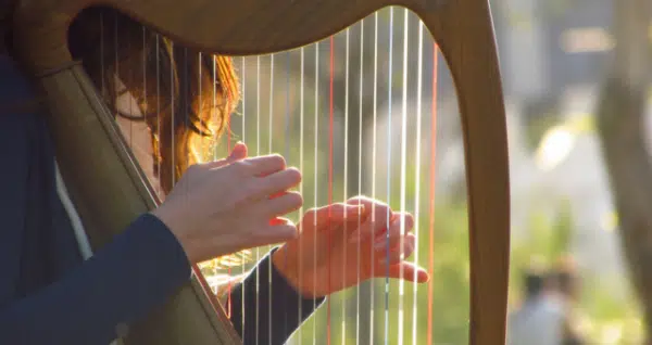Harp Music & Stories