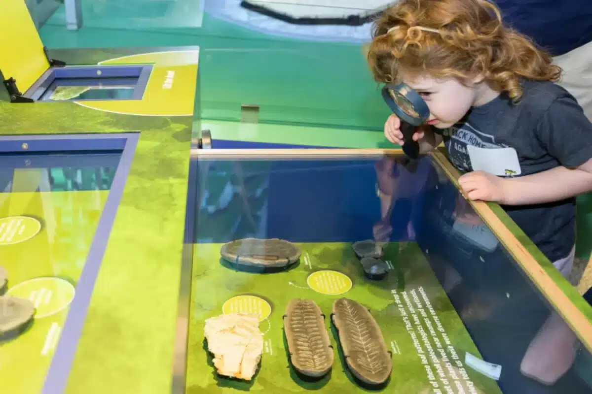 Young Explorers: Deep Sea Swimmers