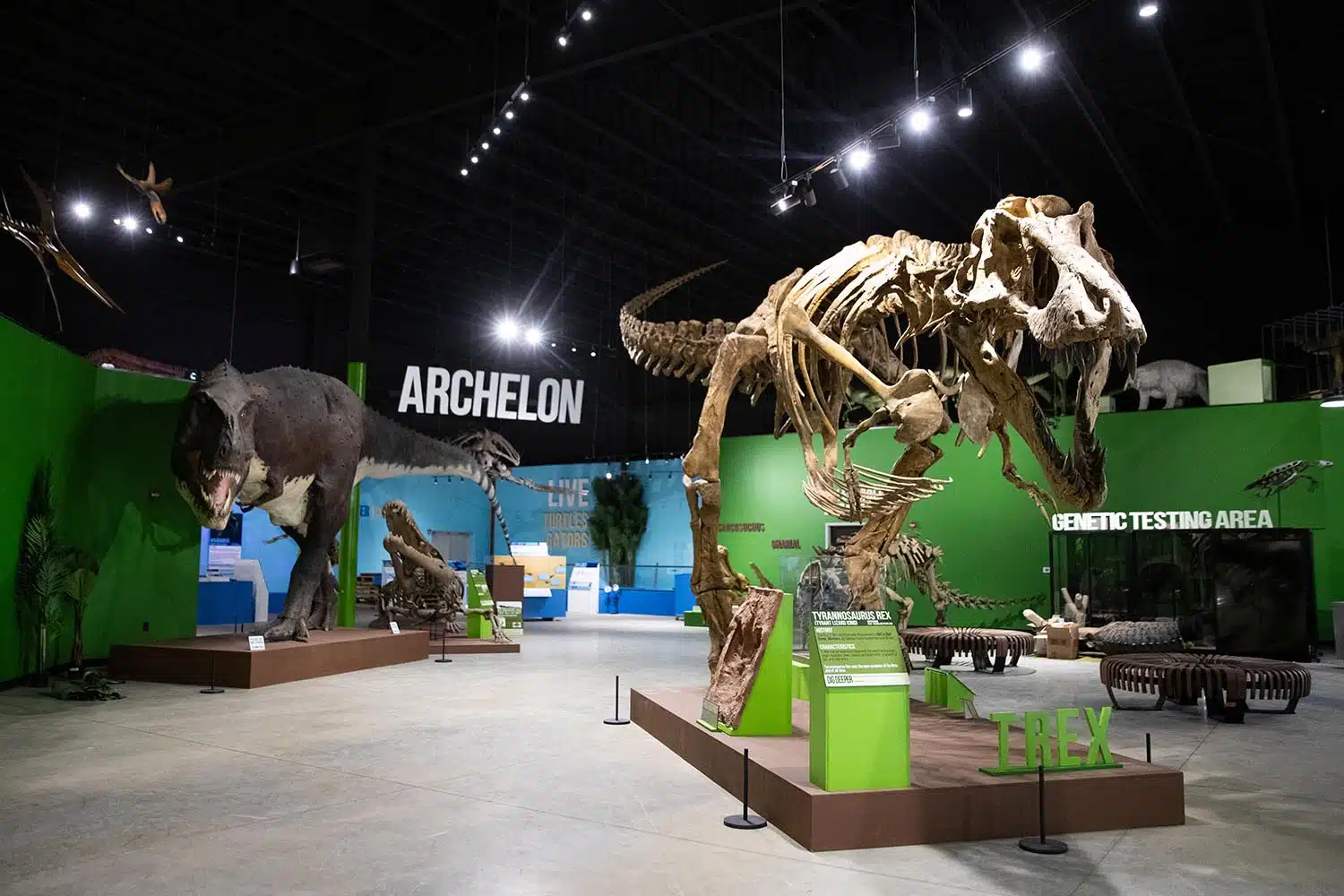 T. rex at Indiana Dinosaur Museum