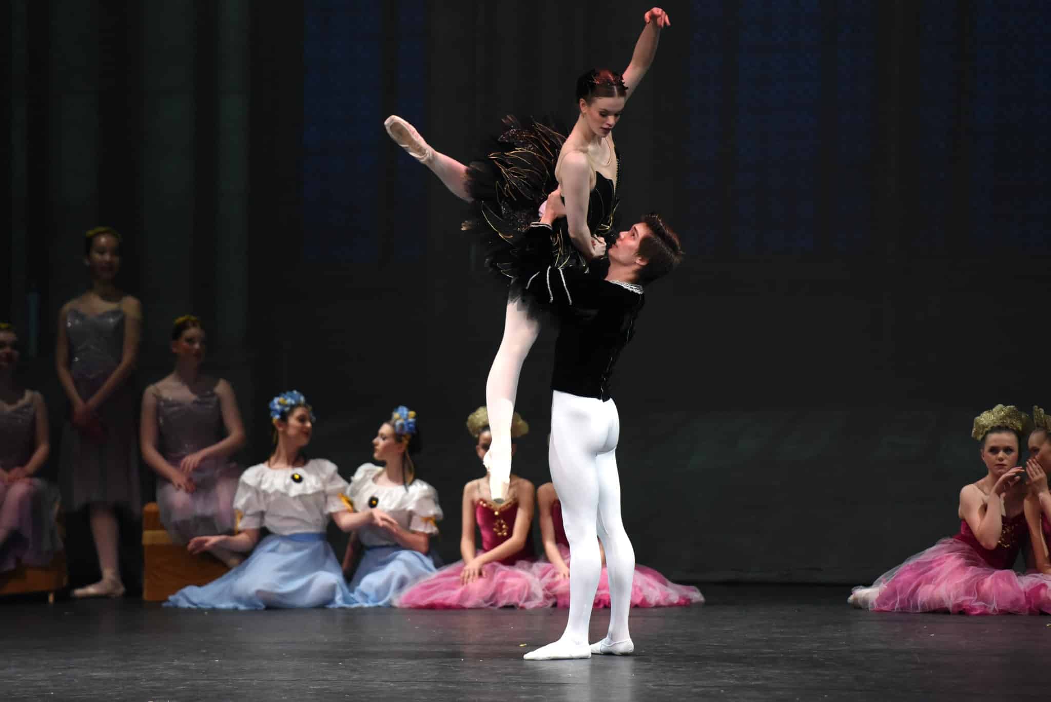 Black Swan and Sigfried