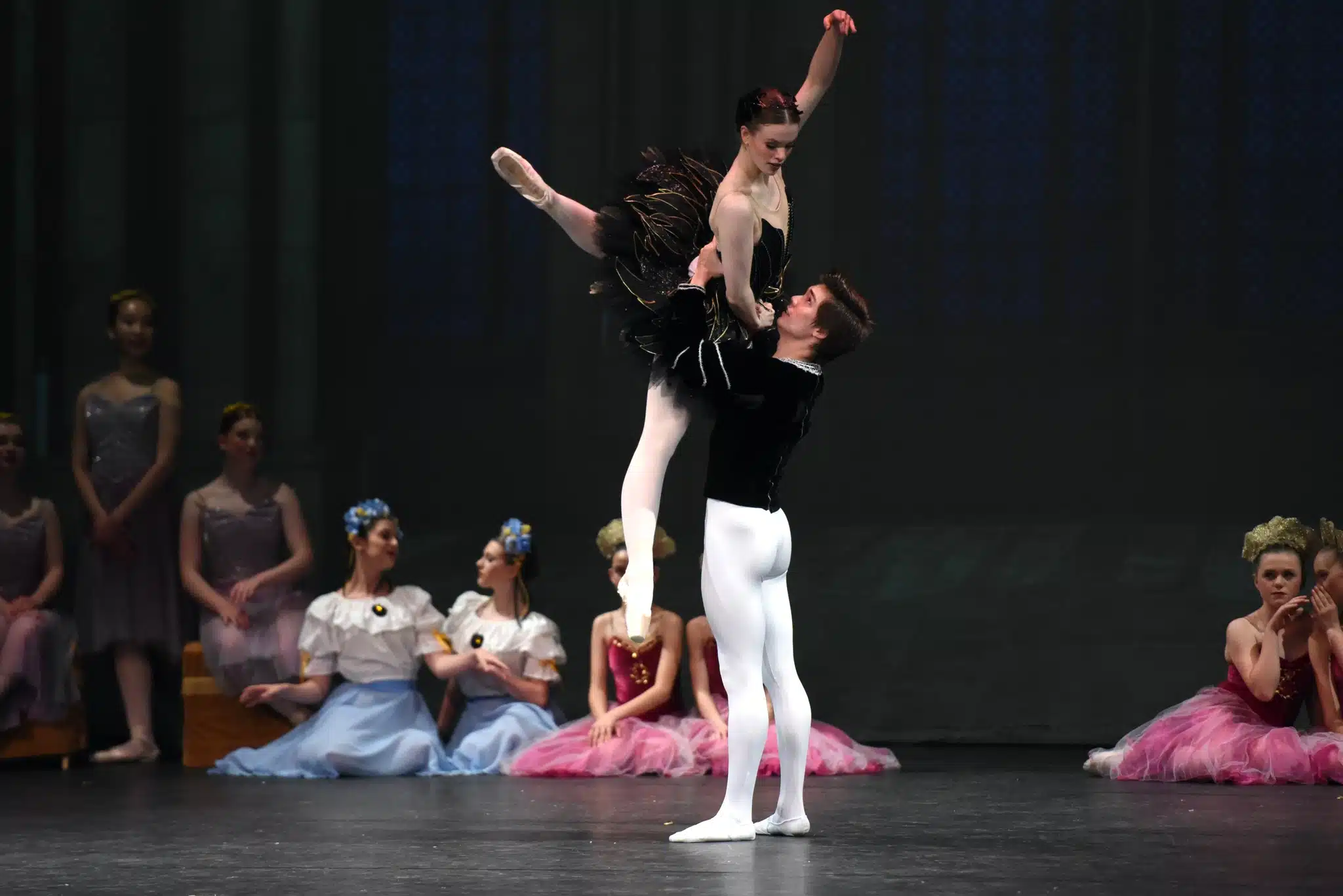 Black Swan and Sigfried