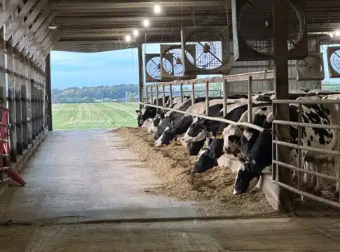 Dinner_Farm Tour_Dining with Dairy_Freestyle Barn Day_Oct 2022.jpeg