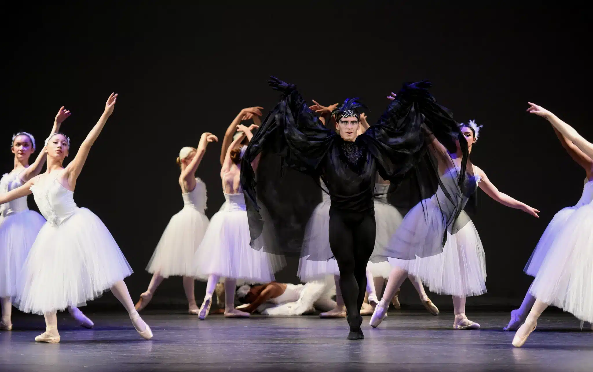 Von Rothbart and Swans
